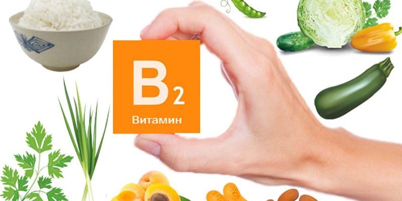 Вітамін B2: призначення до застосування