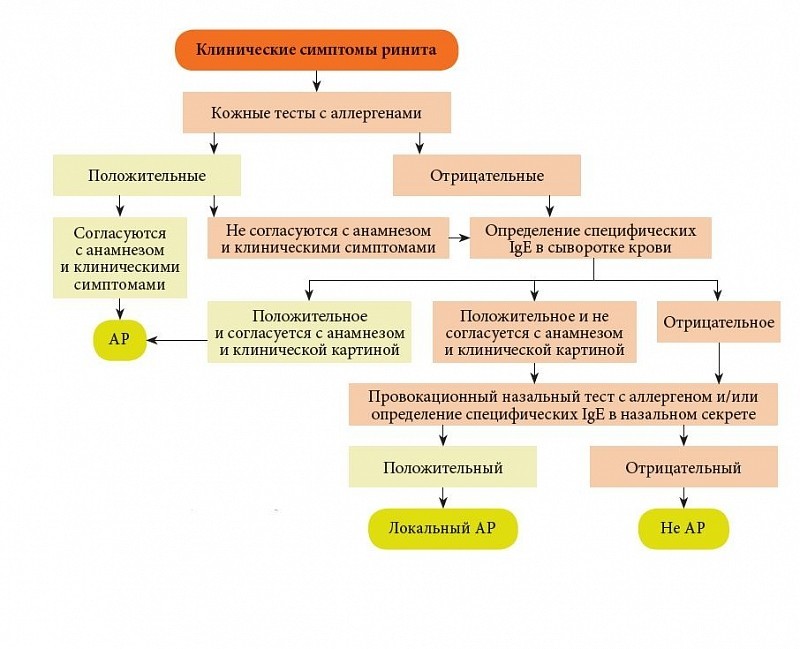 Алергічний риніт – симптоми та лікування нежитю