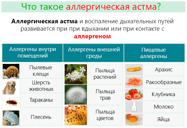 Астма – симптоми та лікування у дорослих та дітей