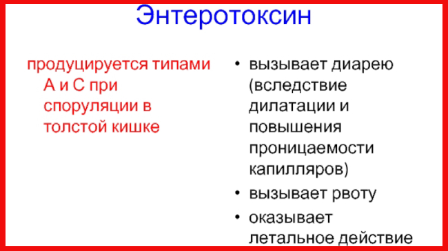 Бактерія Clostridium difficile, що викликає захворювання кишок