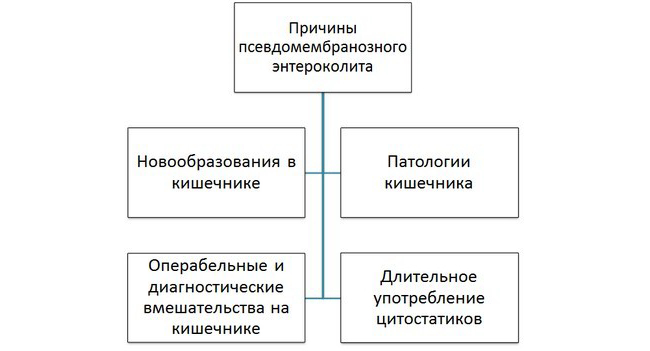 Бактерія Clostridium difficile, що викликає захворювання кишок