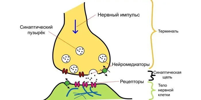 Причини алкоголізму у чоловіків та жінок – ознаки, симптоми, лікування