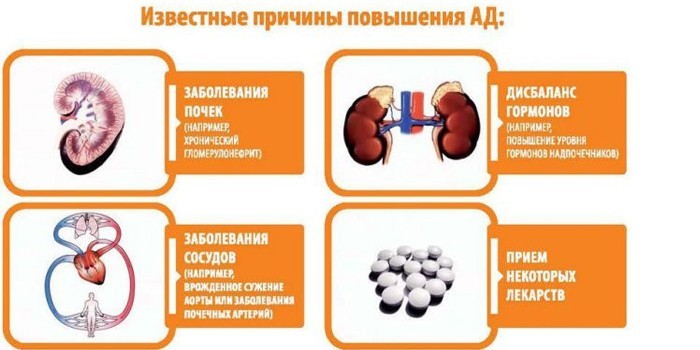 Гіпертонія 2 ступеня - як лікувати медикаментами та народними засобами