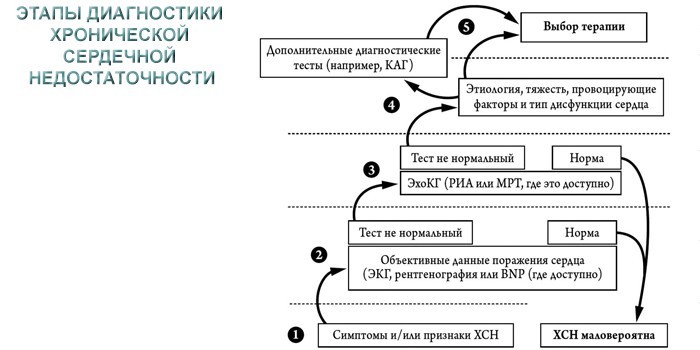Хронічна серцева недостатність - клінічні рекомендації