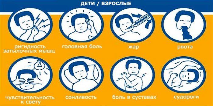 Як розпізнати менінгіт у дитини в домашніх умовах