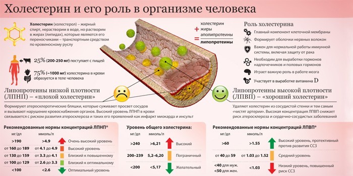 Ліпідограма - що показує, норми у дітей та дорослих