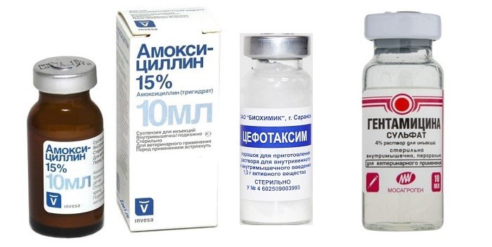 Менінгіт у новонароджених - ознаки, стадії та методи лікування