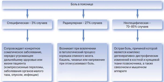 Причини болю у спині