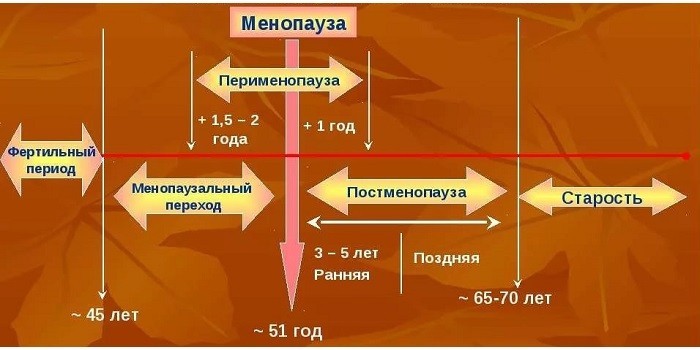 Ранній клімакс у жінок – ознаки та як відновити місячні.