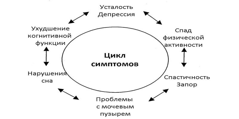 Розсіяний склероз – симптоми у жінок на різних стадіях хвороби та перші прояви