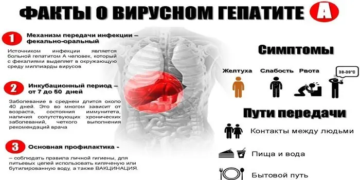 Лікування гепатиту А - лікарські препарати, режим та правила харчування