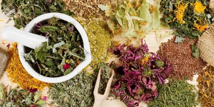 Лікування астми народними засобами - огляд ефективних методів