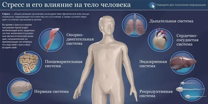 Що таке стрес - фактори та види стану, профілактика, лікування