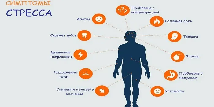 Що таке стрес - фактори та види стану, профілактика, лікування