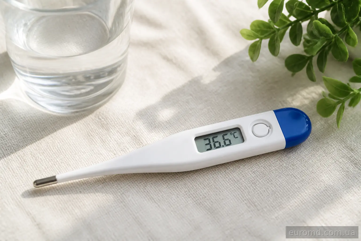 Цифровий термометр показує нормальну температуру 36,6°C
