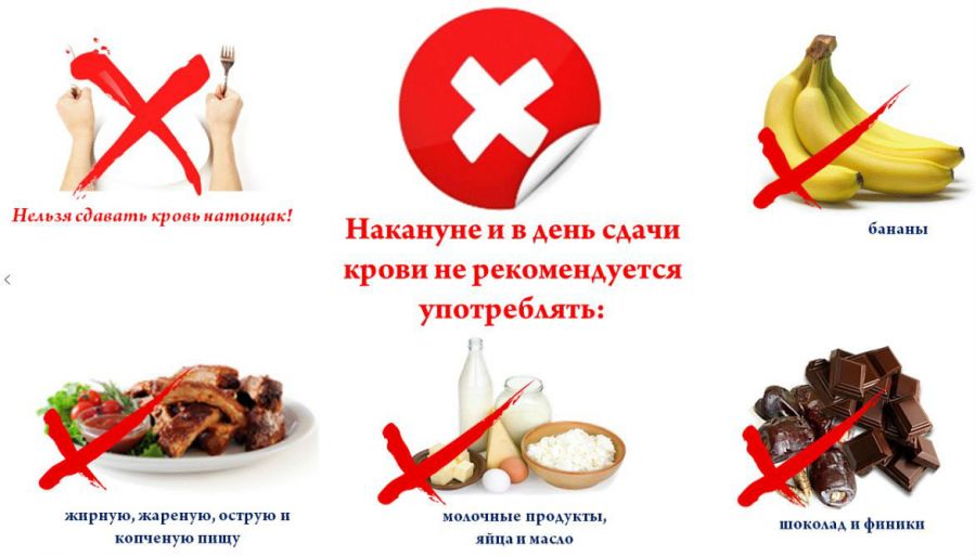 Аналіз на черевний тиф: як беруть та здають кров, лабораторна діагностика