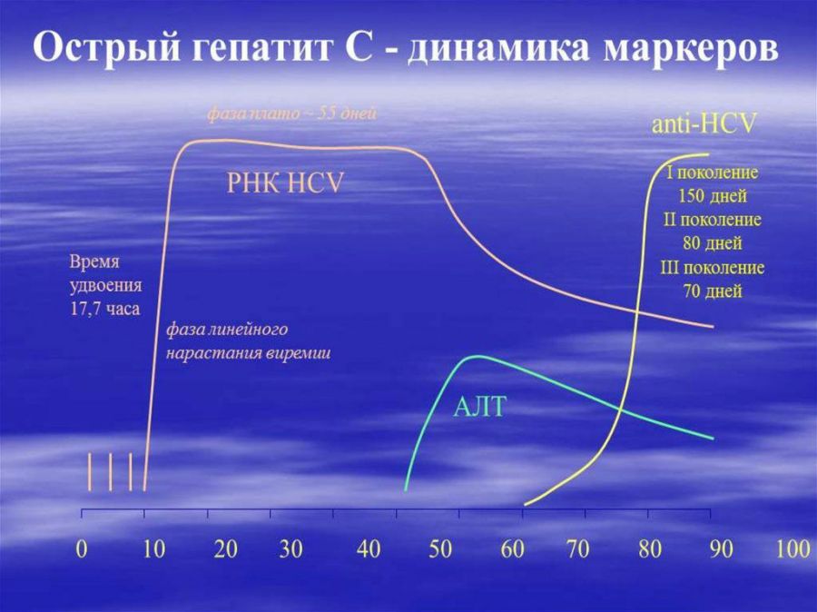 Антитіла до гепатиту C (сумарні), розшифровка аналізу на вірус