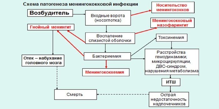 Менінгіт – симптоми та лікування етіотропне, патогенетичне, симптоматичне
