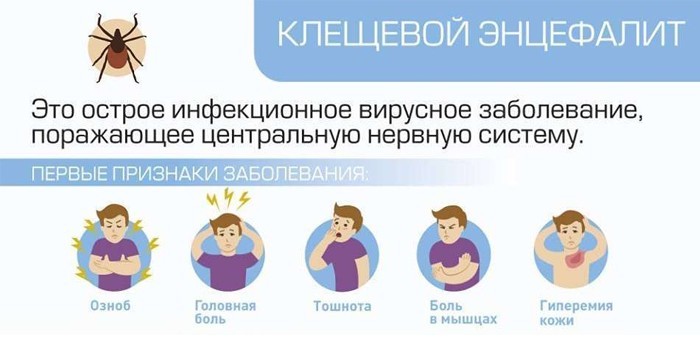 Менінгіт – симптоми та лікування етіотропне, патогенетичне, симптоматичне