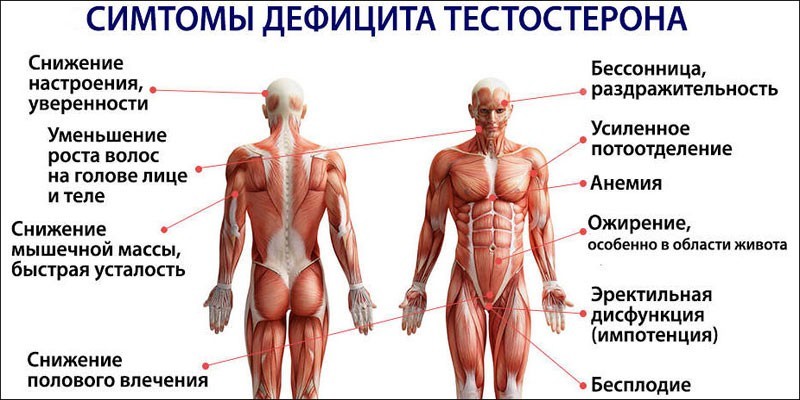 Недолік тестостерону - призначення аналізу, медикаментозна терапія, дієта та наслідки дефіциту