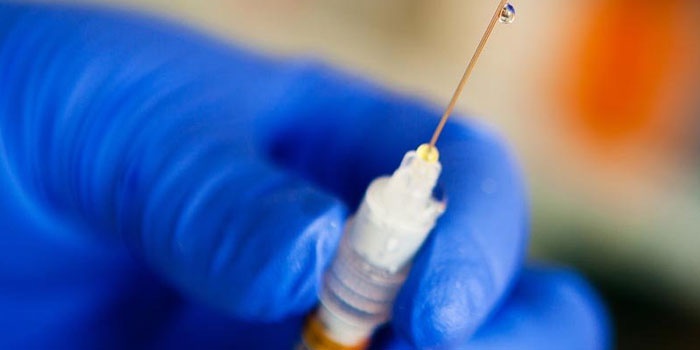 Щеплення від сказу - показання та побічні ефекти для введення антирабічної сироватки