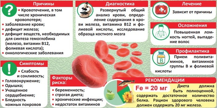 Залізодефіцитна анемія - причини, ступеня та рекомендації