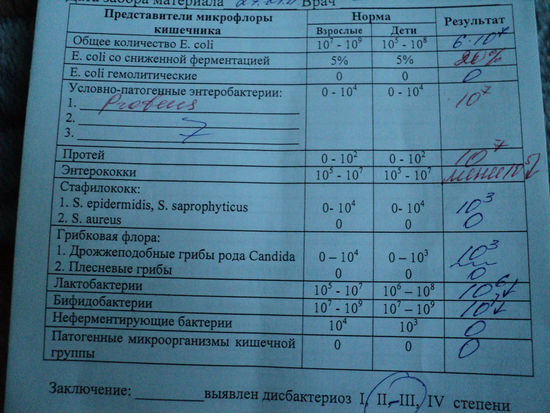 Аналіз калу на дисбактеріоз кишечника: як здавати на дослідження, розшифровка