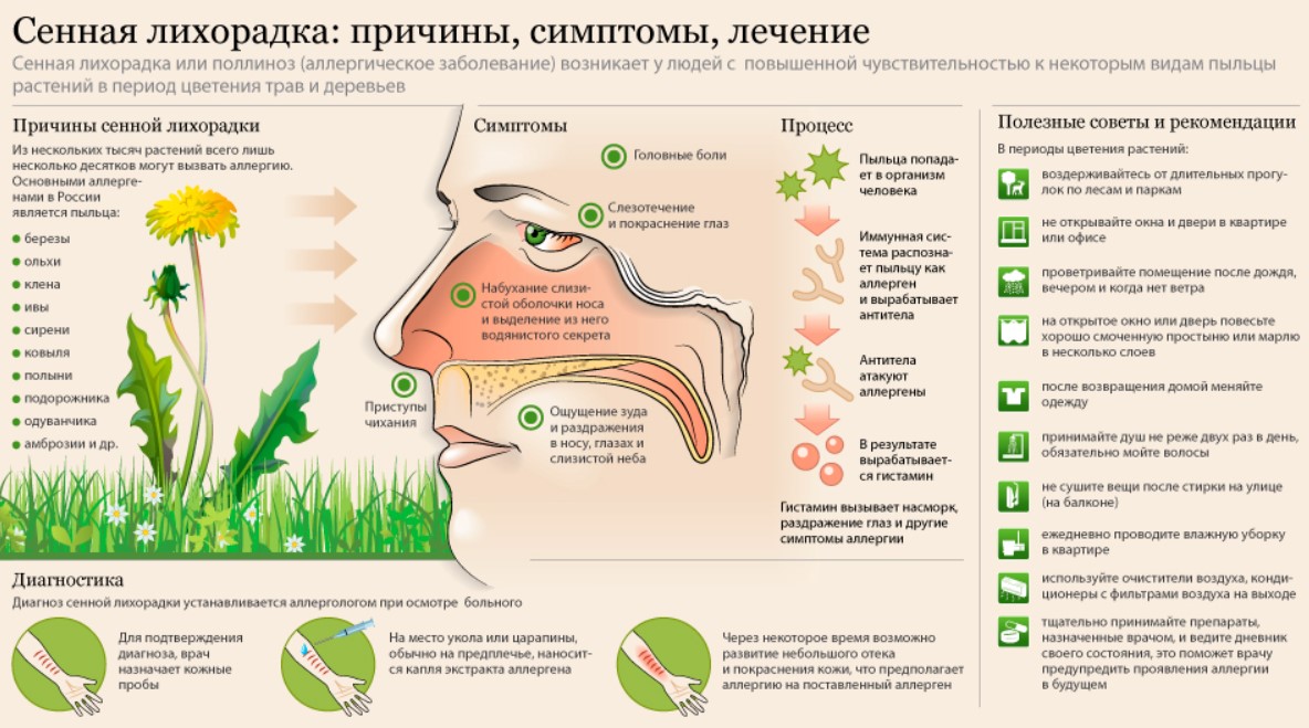 Літо не в радість: що таке поліноз та як з ним боротися