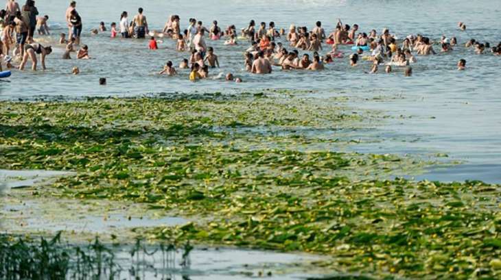 Лікар розповів про хвороби через купання у забруднених водоймах