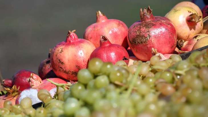 Лікар розповіла про користь граната у боротьбі з раком