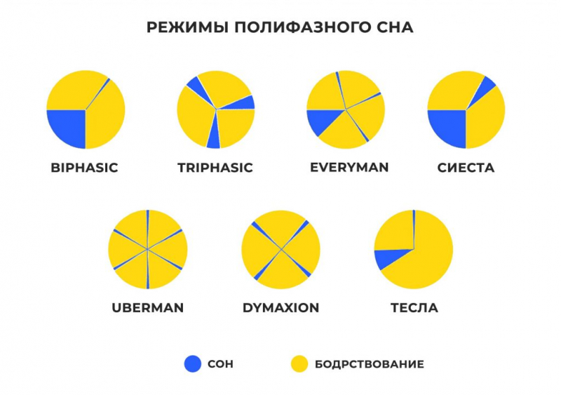 Поліфазний сон: режими, відгуки, як перейти