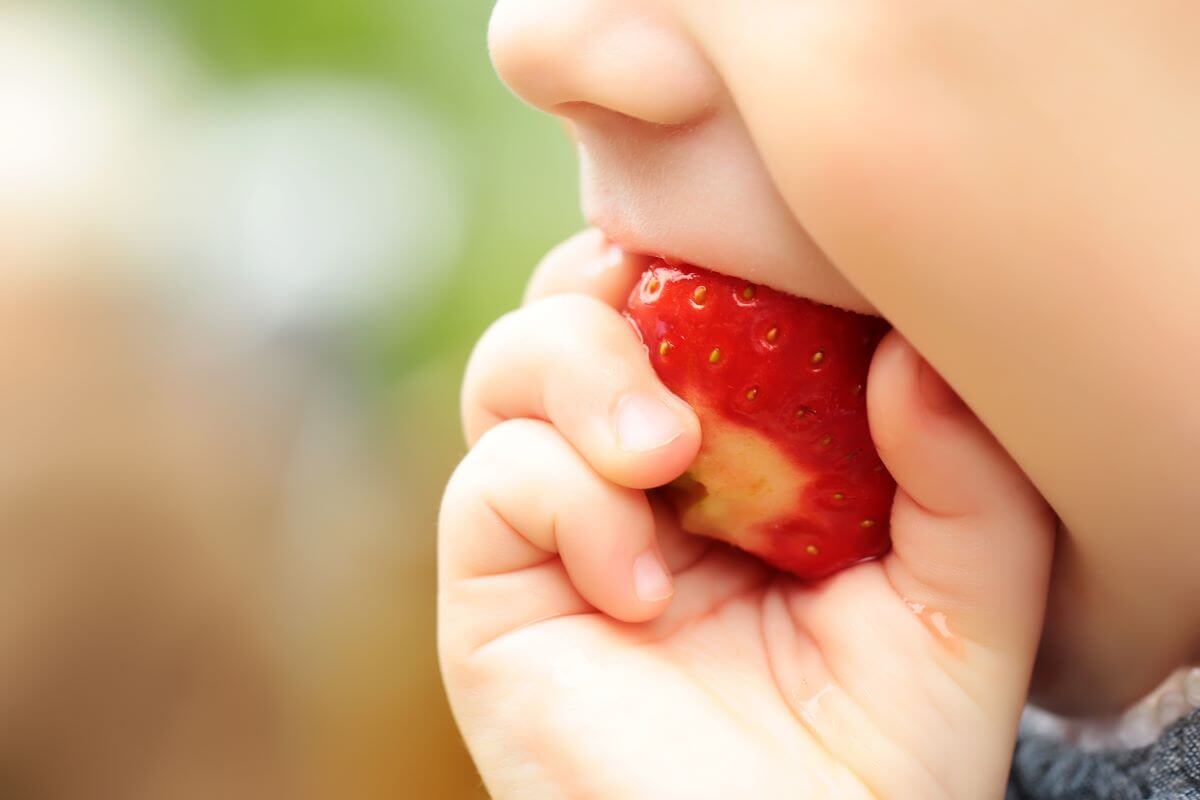 Продукти для імунітету дитини: продукти харчування, що підвищують та зміцнюють імунітет у дітей