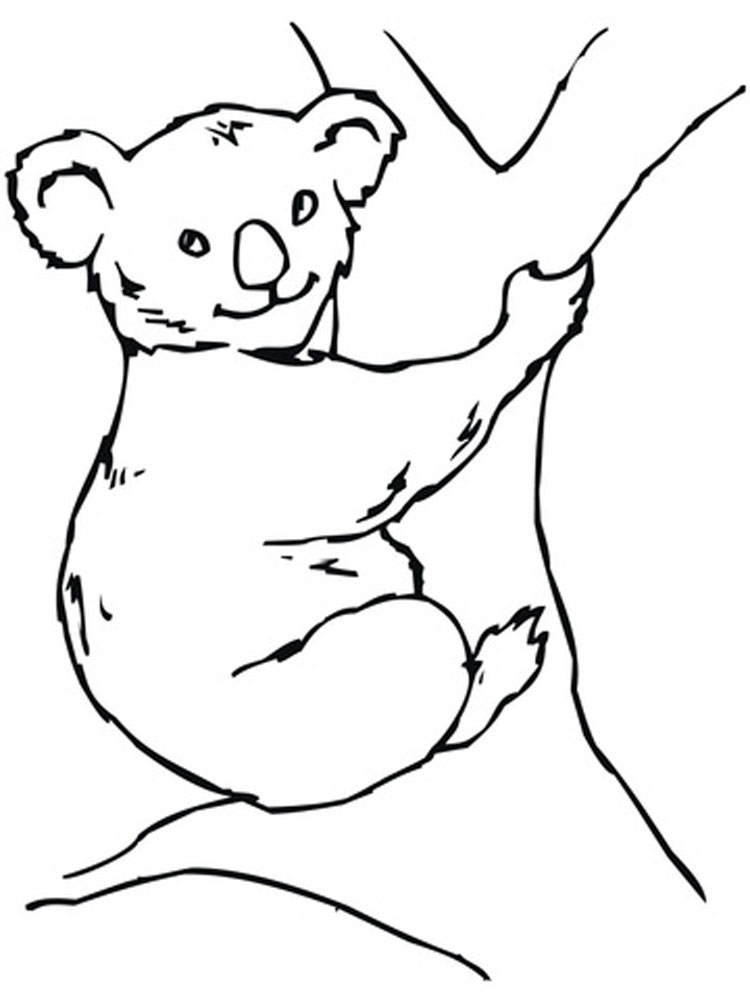 Розмальовка Коала