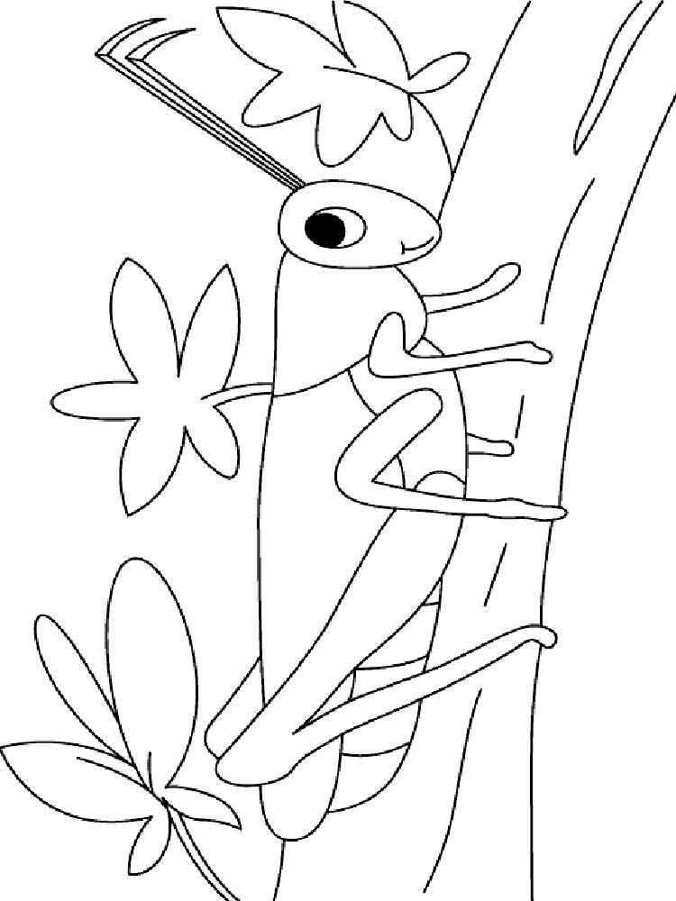 Розмальовка Коник