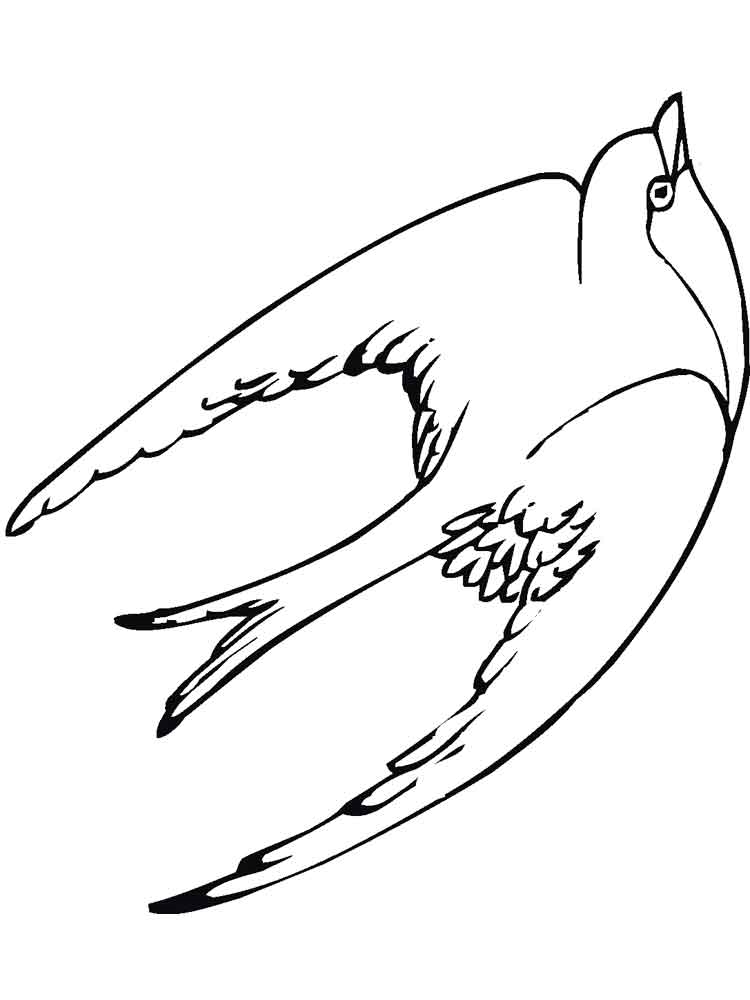 Розмальовка Ластівка