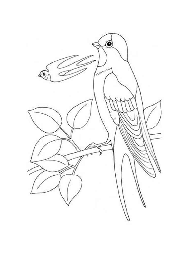 Розмальовка Ластівка