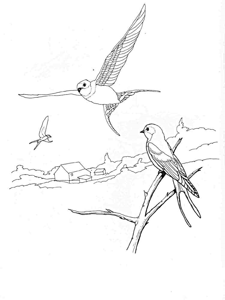 Розмальовка Ластівка