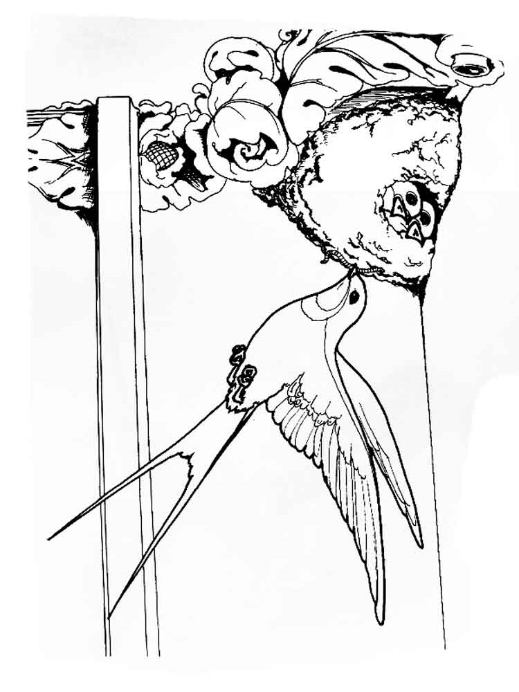 Розмальовка Ластівка