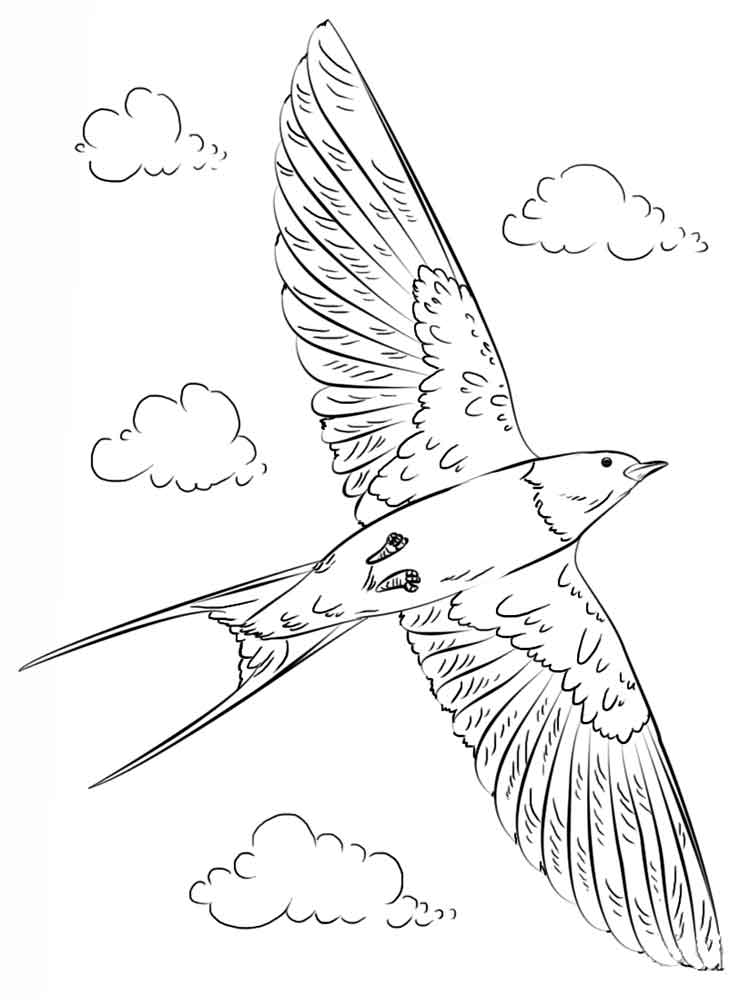 Розмальовка Ластівка