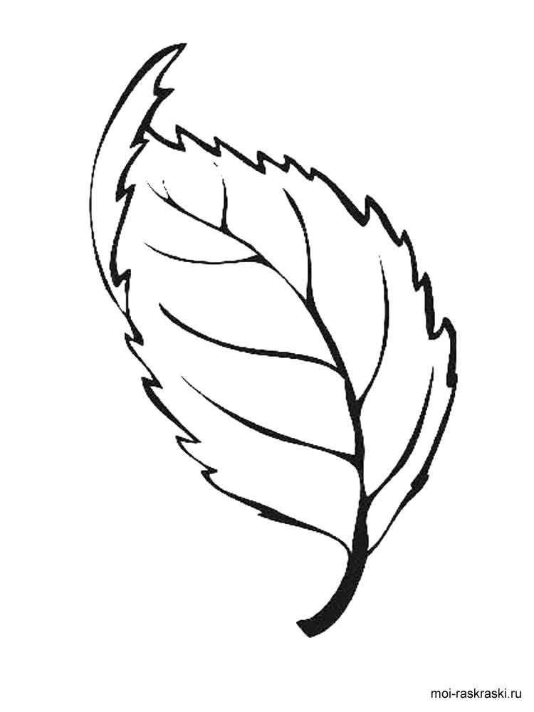 Розмальовка Листя дерев