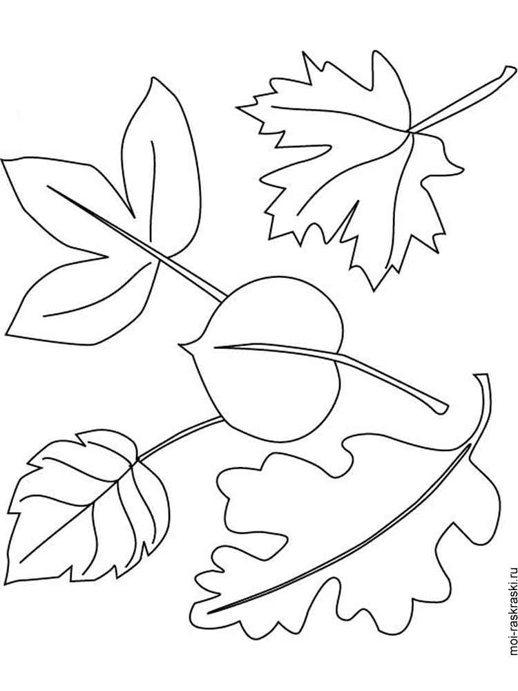 Розмальовка Листя дерев