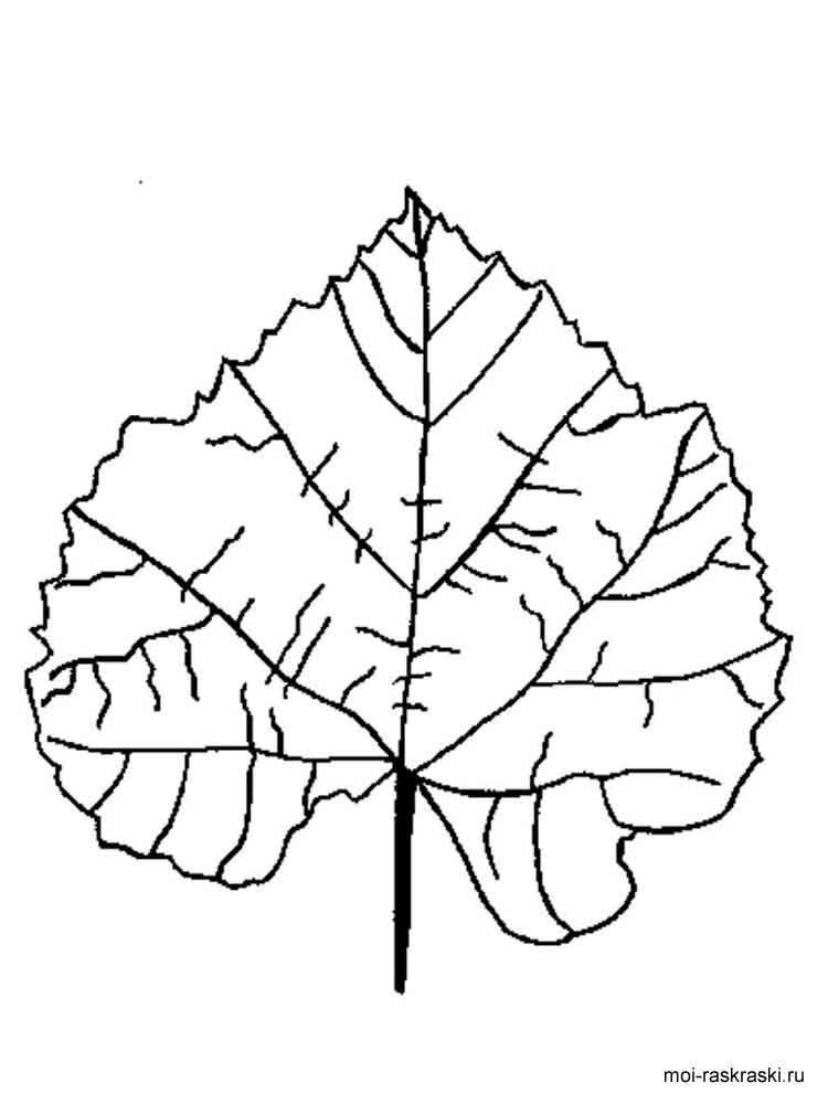 Розмальовка Листя дерев