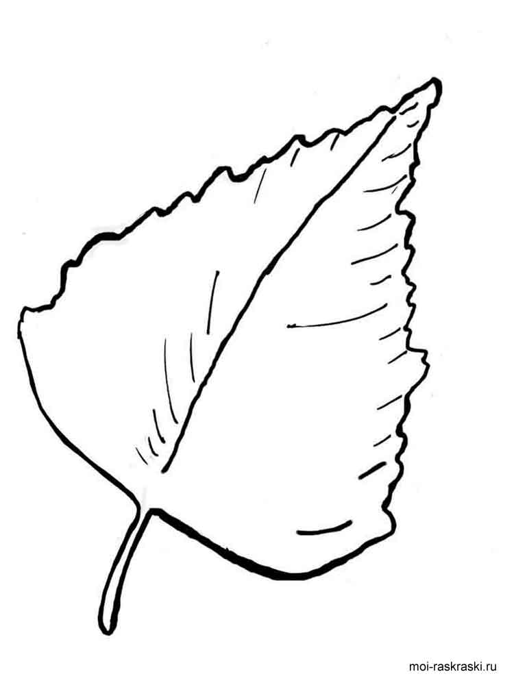 Розмальовка Листя дерев