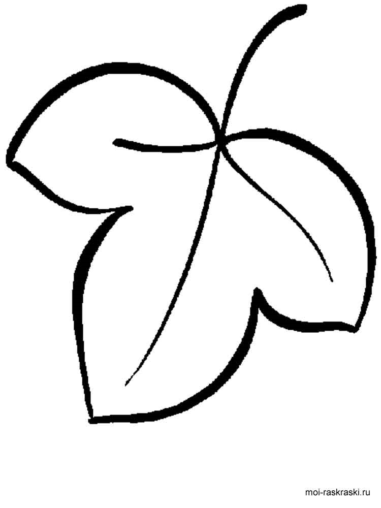 Розмальовка Листя дерев