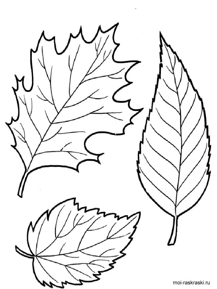 Розмальовка Листя дерев