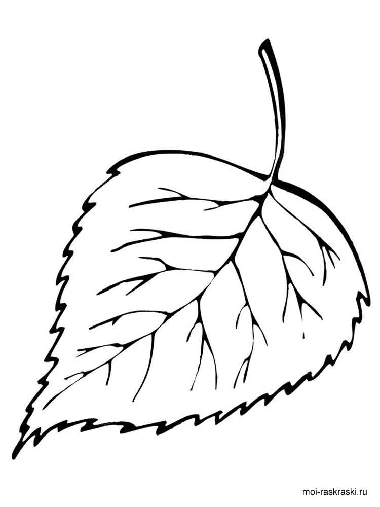 Розмальовка Листя дерев