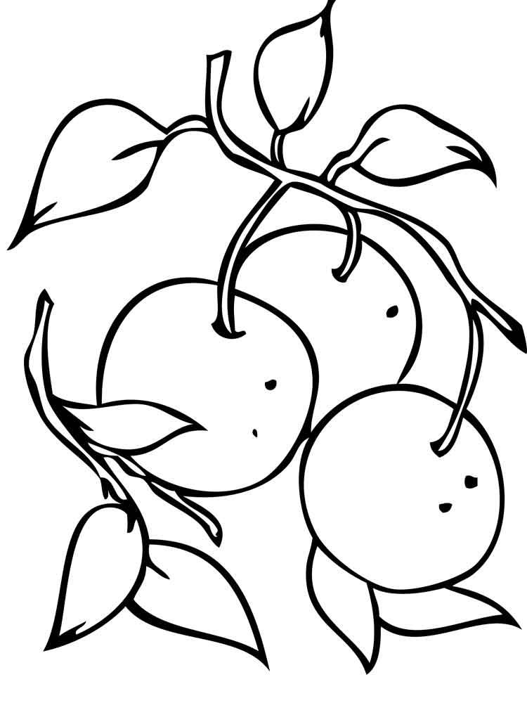 Розмальовка Мандарин