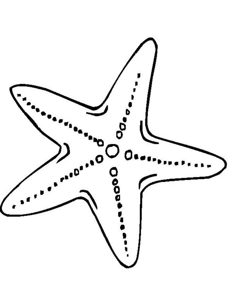 Розмальовка Морська зірка