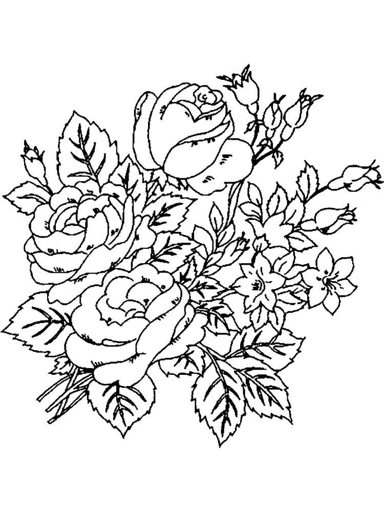 Розмальовка Півонії