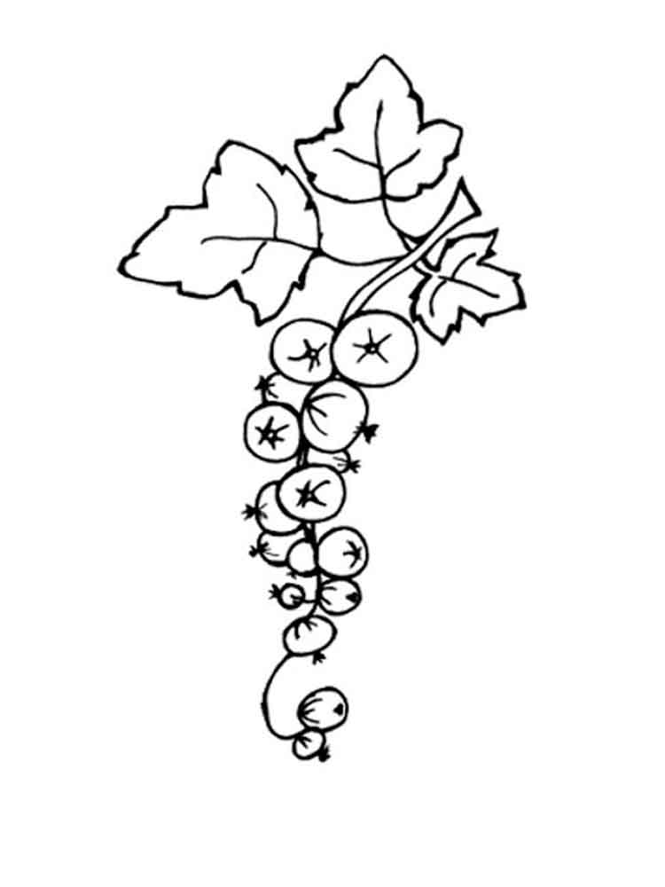 Розмальовка Смородина